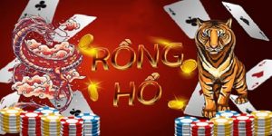 Rồng hổ DA88